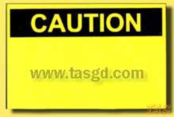 TGS03