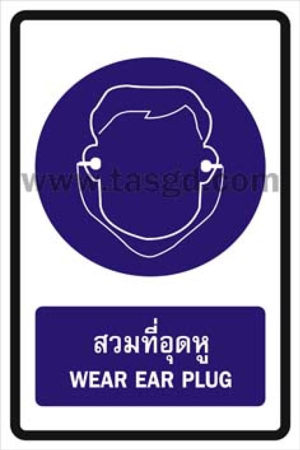BT29
