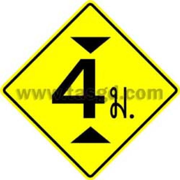 TY31